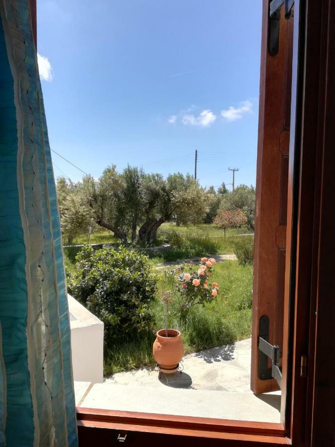 Blue Fish Apartment Platis Gialos  Екстериор снимка